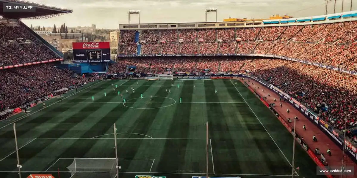 为什么选择我们